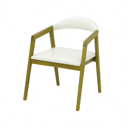 Scaun piele BEJ | model VIGO